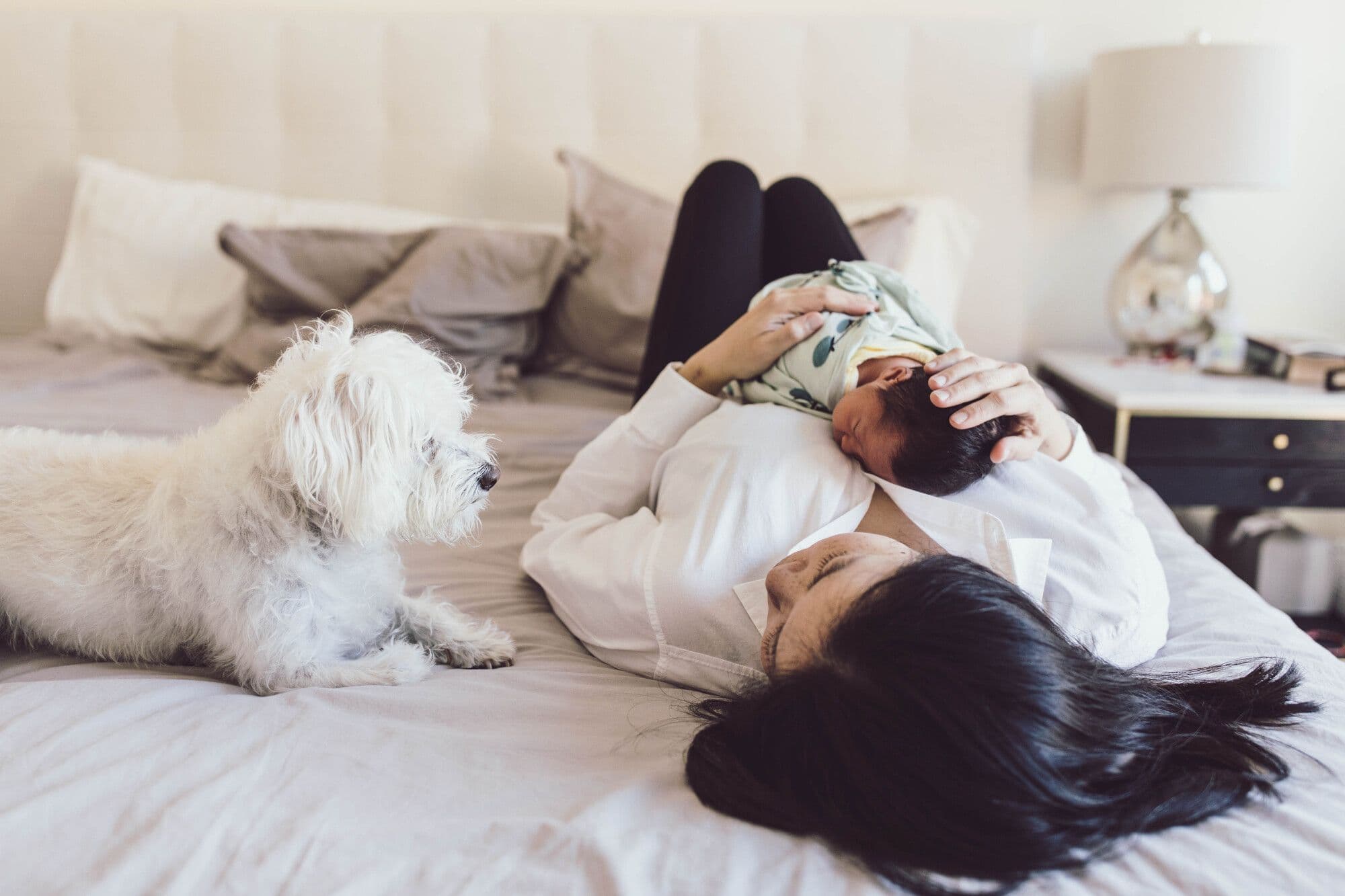 Mother with newborn baby and white dog during lifestyle photography session