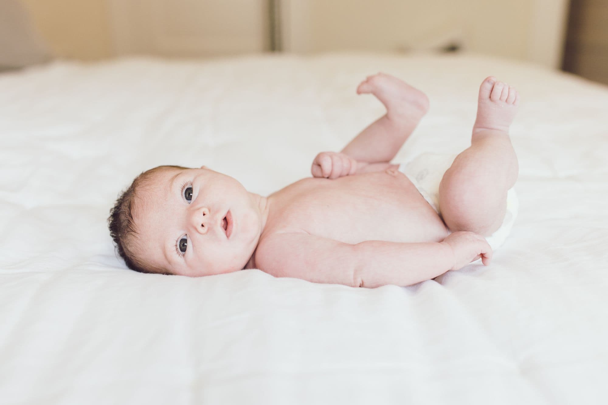 Alert newborn baby lying on cream blanket during San Francisco photography session